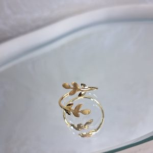 انگشتر4